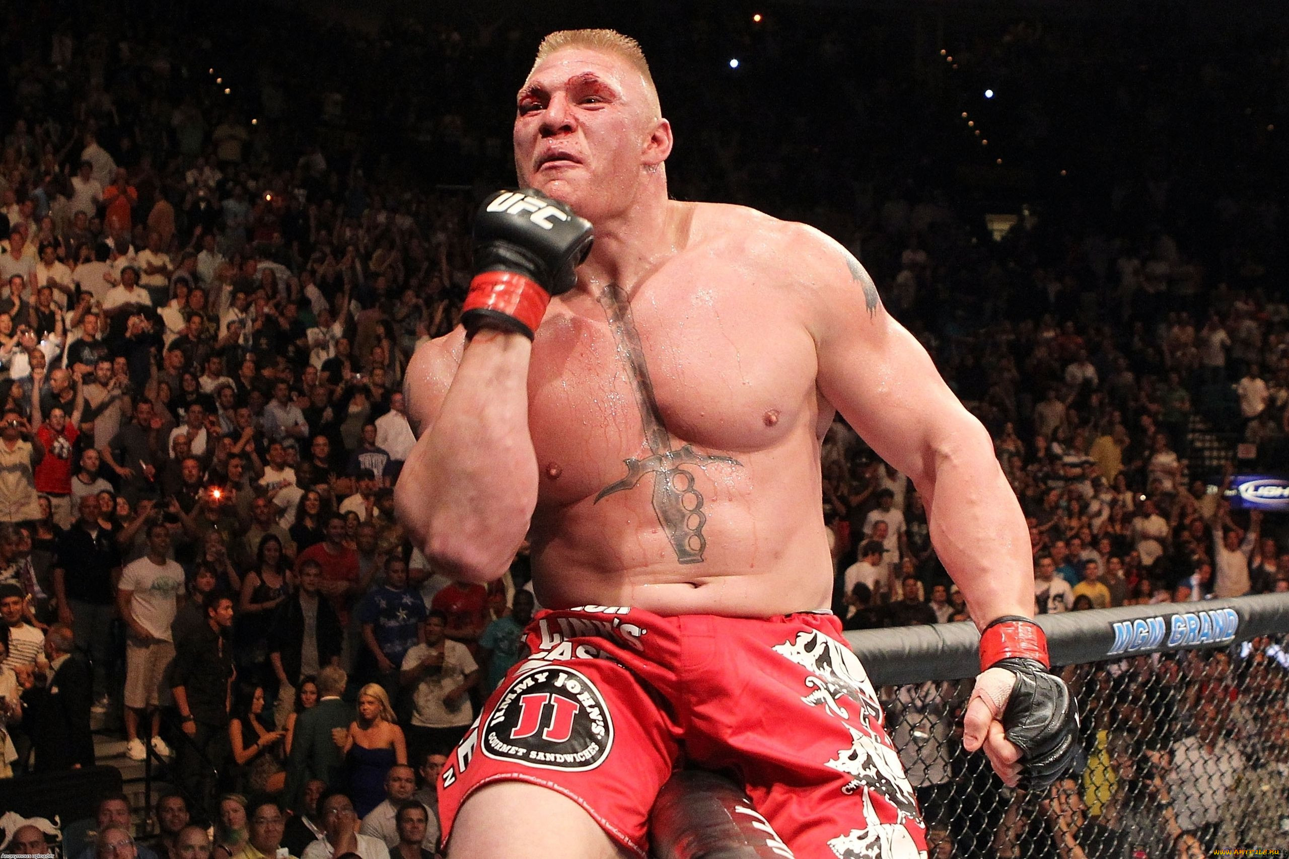 brock, lesnar, , mix, fight